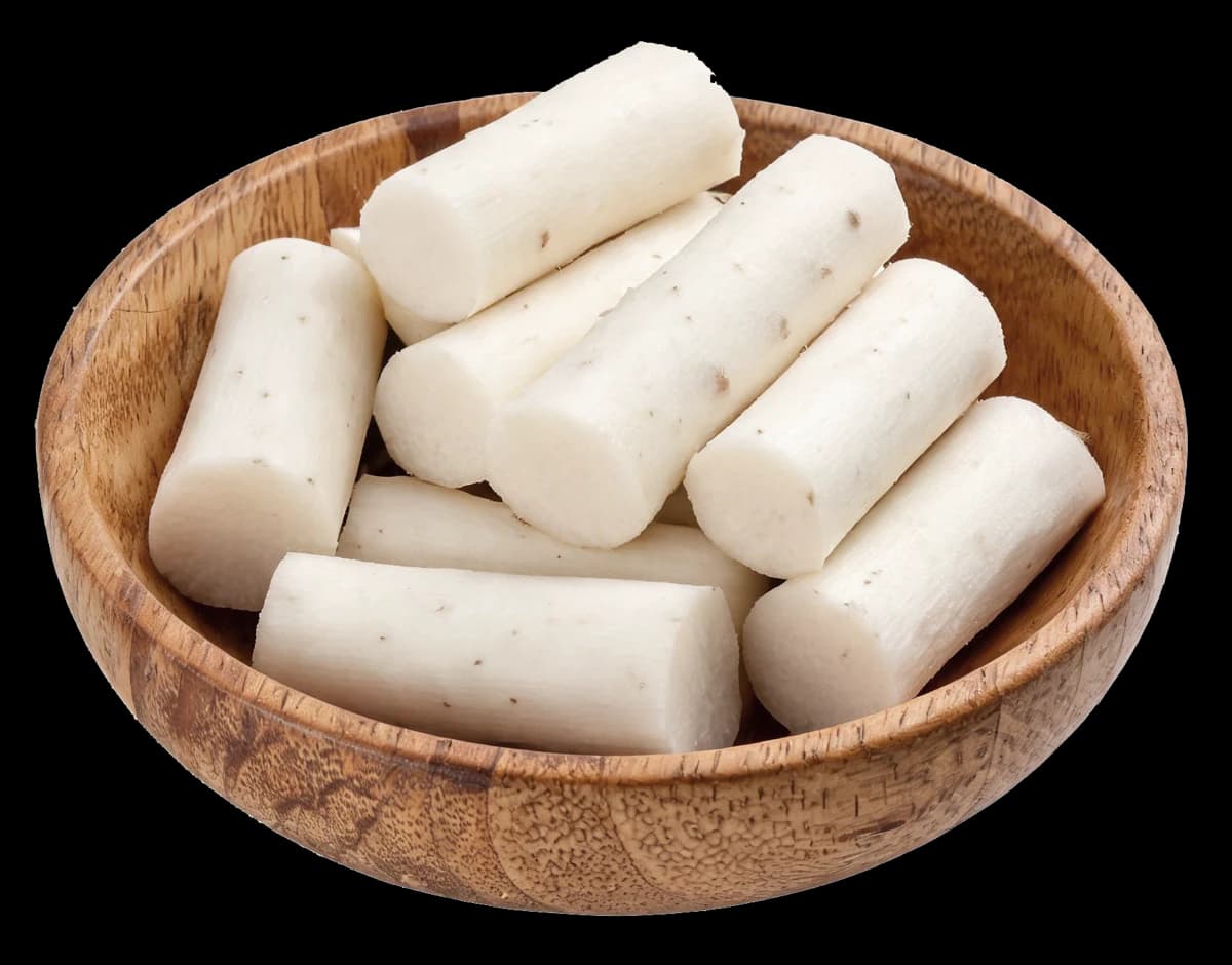 Chinese Yam (Dioscorea)