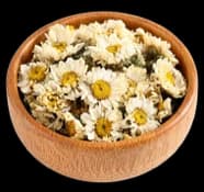 Chrysanthemum Flower
