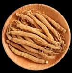 Codonopsis Root