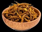 Coptis Rhizome (Goldthread)