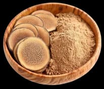 Deer Antler (Velvet) & Powder