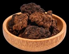 Rehmannia Root